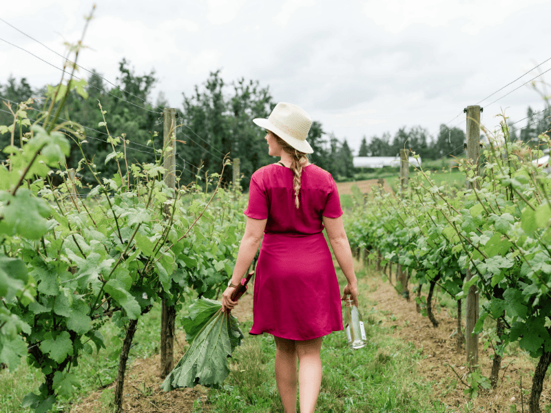 Father and two children walking through a vineyard